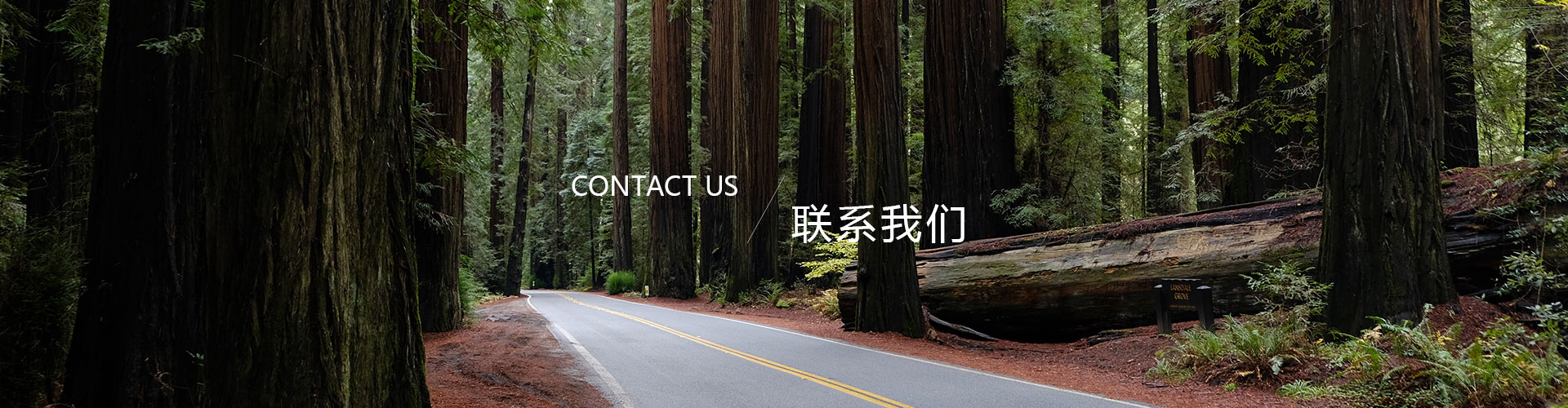 聯(lián)系我們banner